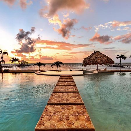 Hol Chan Reef Resort & Villas سان بيدرو المظهر الخارجي الصورة